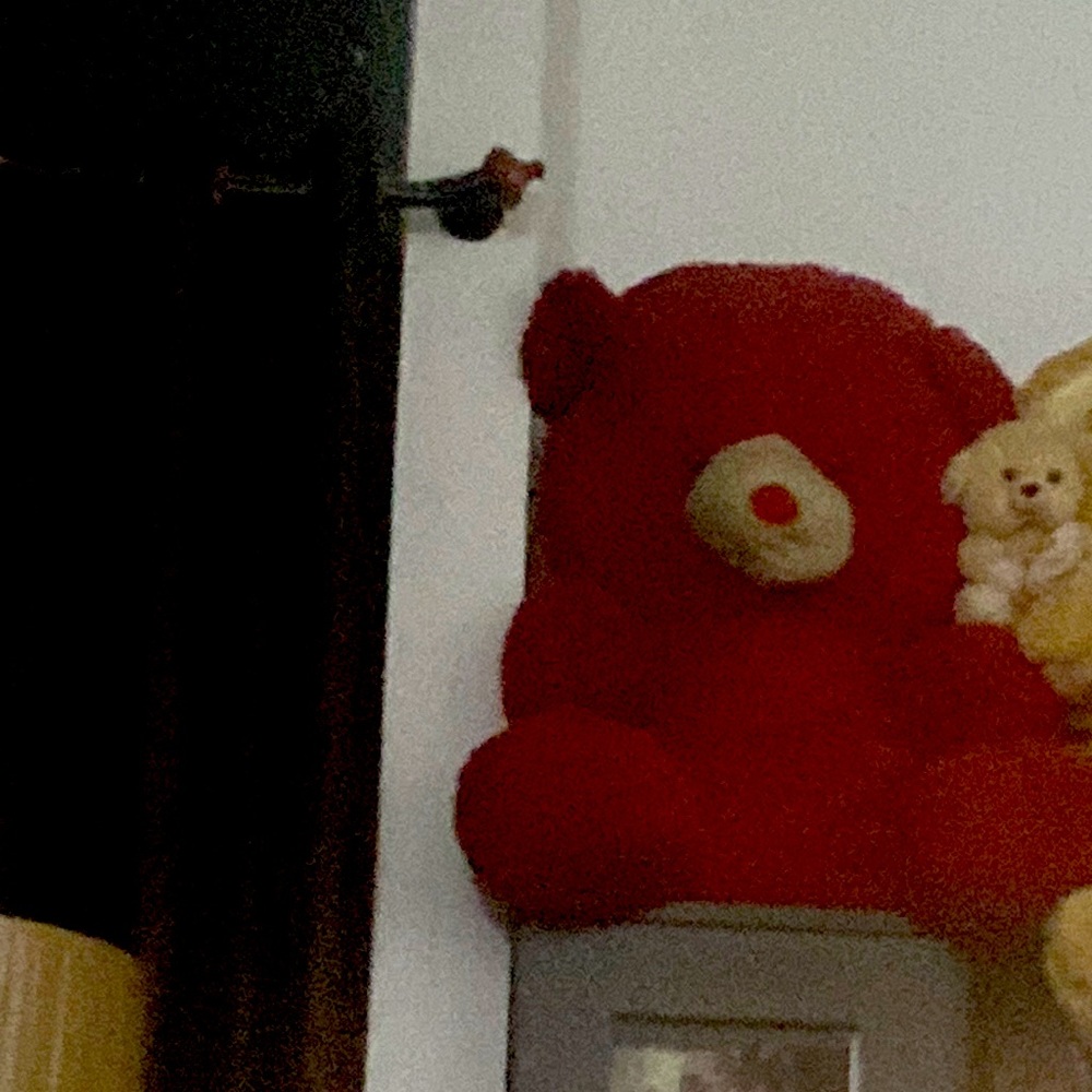Teddy Bear in red colour